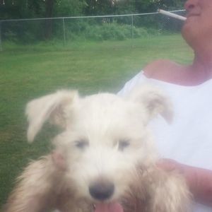 Meet your Posher, Mary lowder